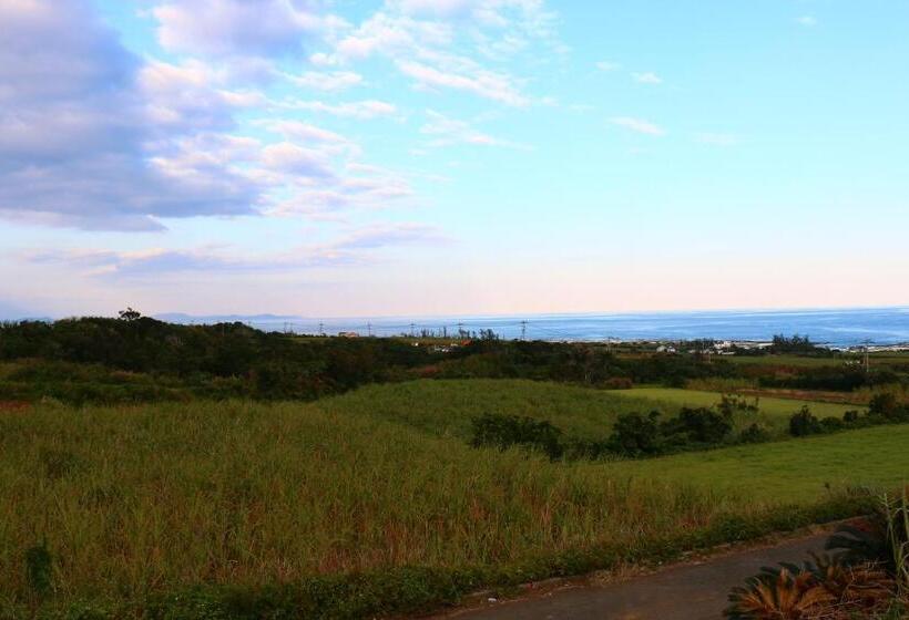 ريوكان Pension Kongo Baru