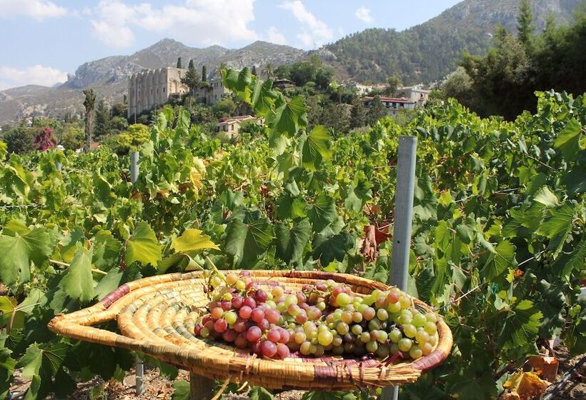 הוסטל Bellapais Gardens