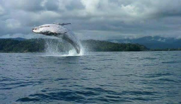 هاستل Posada El Acuario