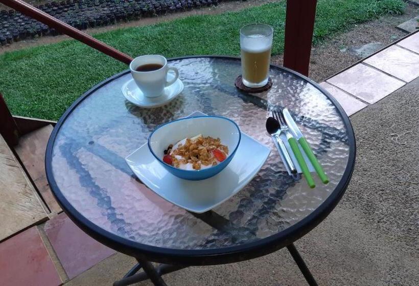 旅馆 Posada Turística Quenari Wii