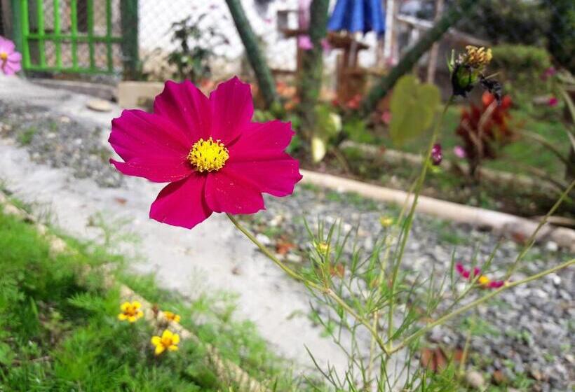 هاستل Vivienda Turistica Yerbabuena