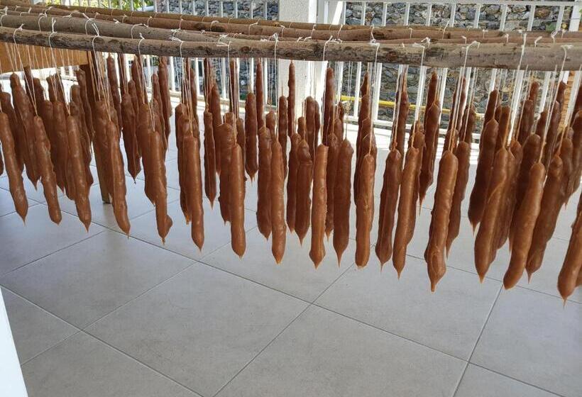 هاستل White House In Kakheti Eniseli