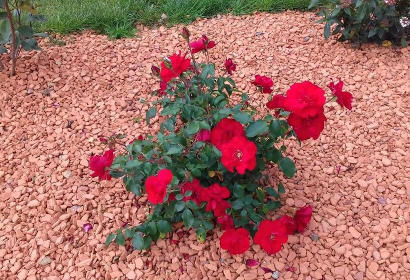 Appart Hotel Parc Johan