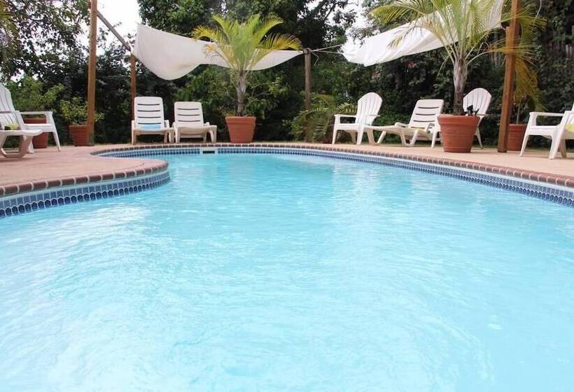 مبيت وإفطار Casa De Tortuga