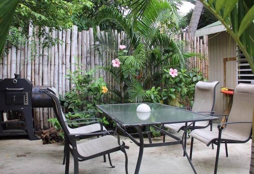 مبيت وإفطار Casa De Tortuga