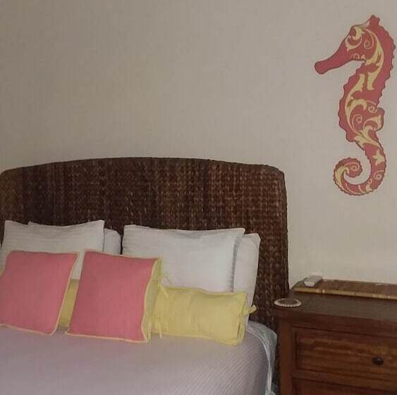 مبيت وإفطار Casa De Tortuga