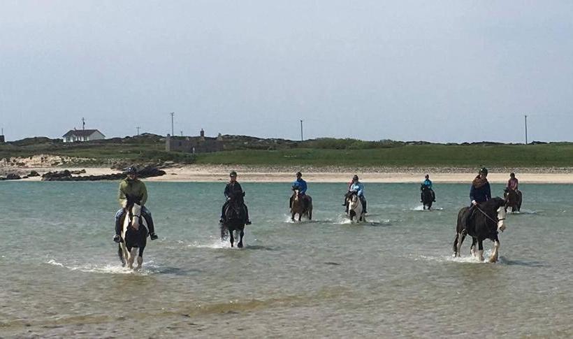 Bed and Breakfast The Pier Bar , Cleggan