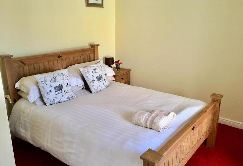 Bed and Breakfast The Pier Bar , Cleggan