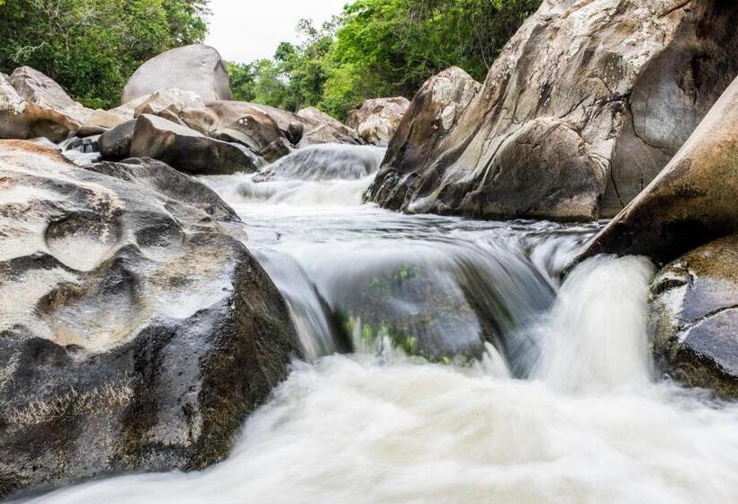 Casa De Las Dos Palmas  Hotel Boutique