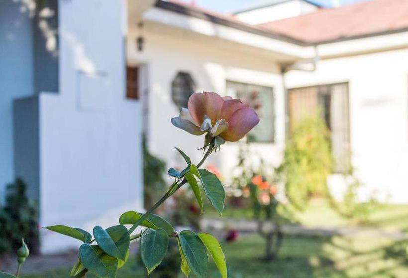 ホテル Boutique Molino Viejo