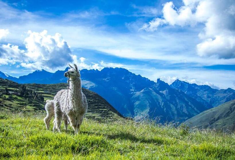 هتل California Calca