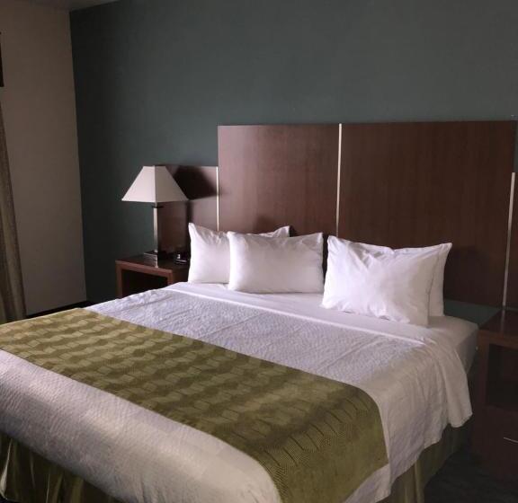 酒店 Countryview Inn & Suites
