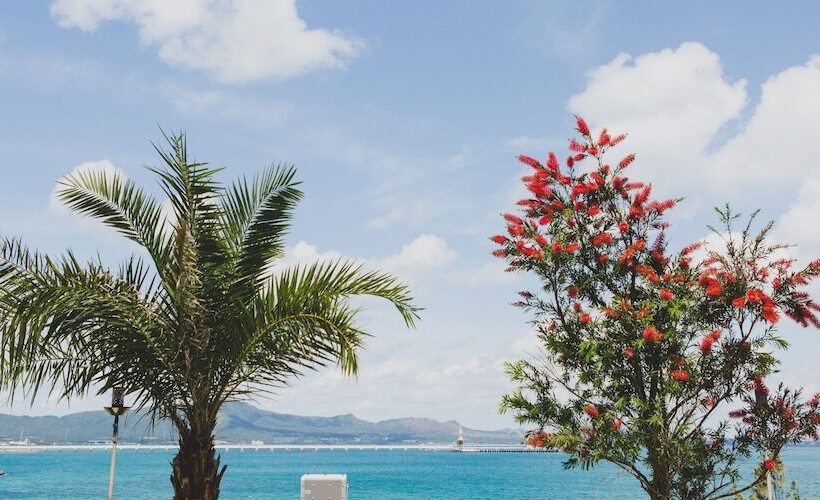 בית מלון כפרי Hideout Okinawa Uruma