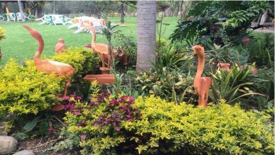 בית מלון כפרי Hosteria Campestre San Fermin