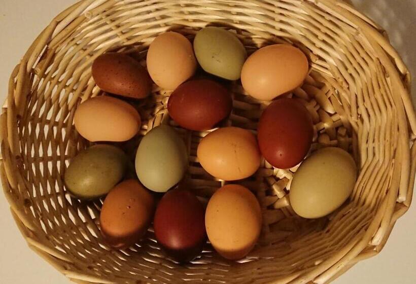 ホテル Pension Müllers Mühle