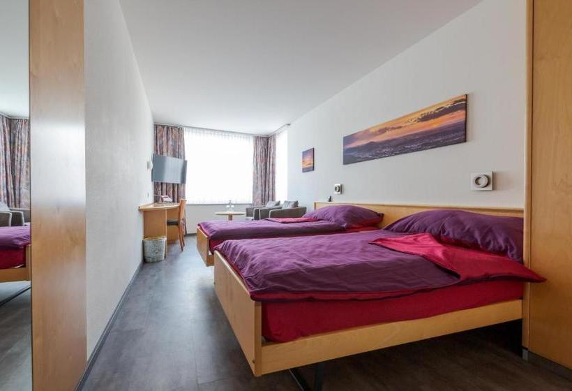 בית מלון כפרי Rynach