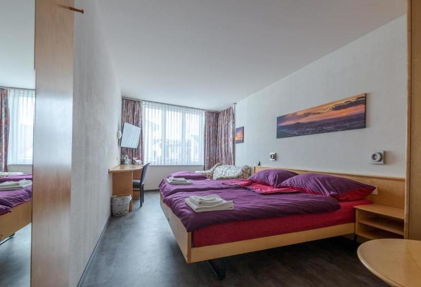 בית מלון כפרי Rynach