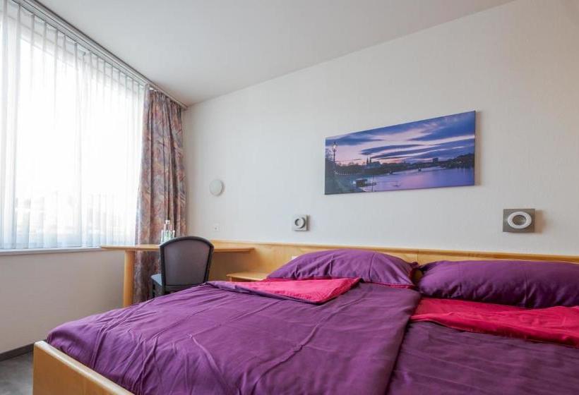 בית מלון כפרי Rynach