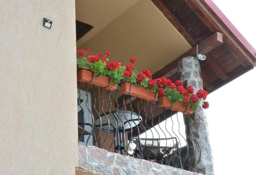 Pensão Bogdan Si Raluca