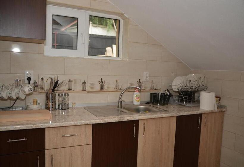 Pensão Bogdan Si Raluca