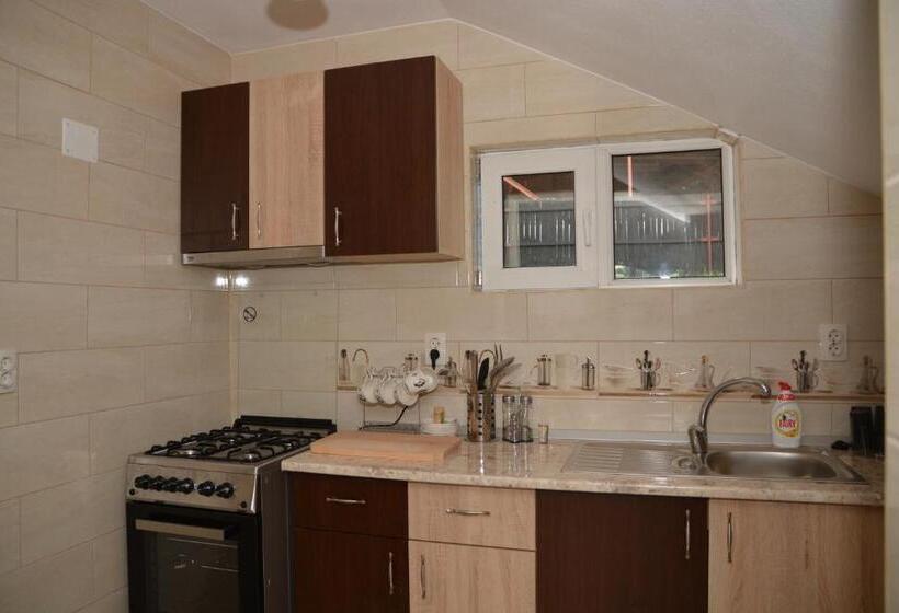 Pensão Bogdan Si Raluca