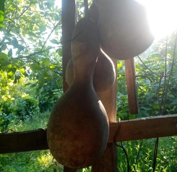 پانسیون Guest House Knarik