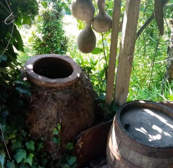 پانسیون Guest House Knarik