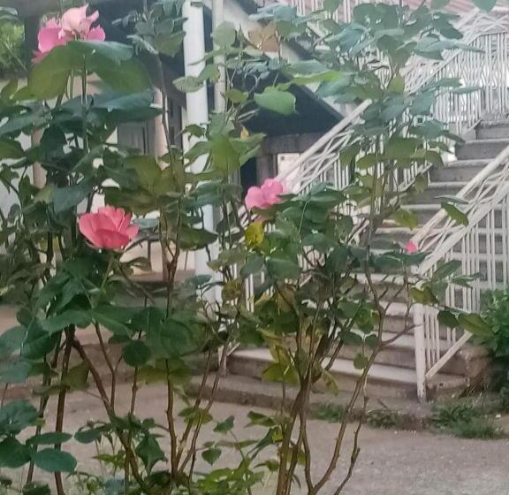 پانسیون Guest House Knarik