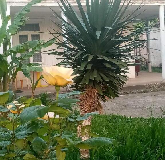 پانسیون Guest House Knarik