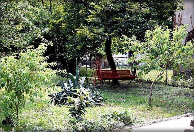 پانسیون Guest House Qedi