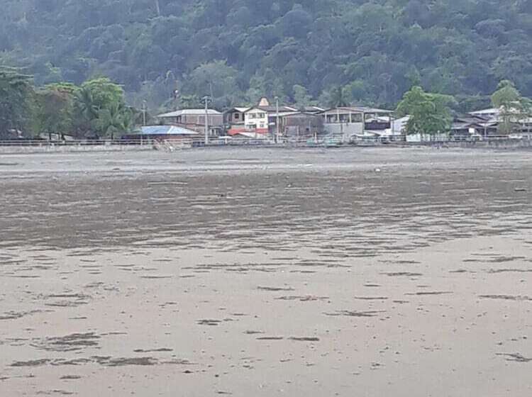 پانسیون Hostal Adrimar