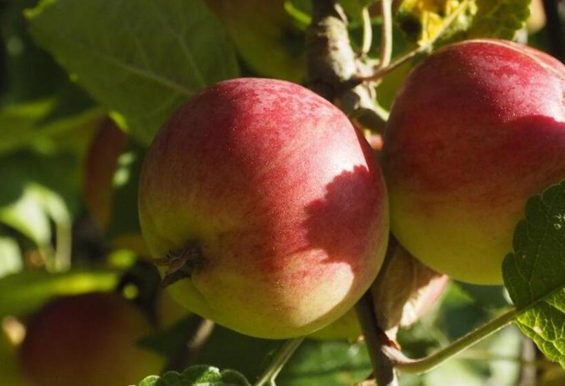 ペンション Hunajakoto