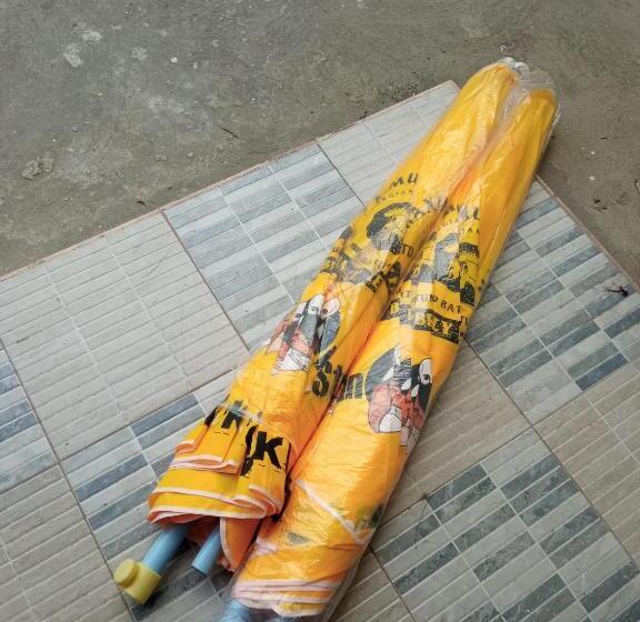 پانسیون Junona