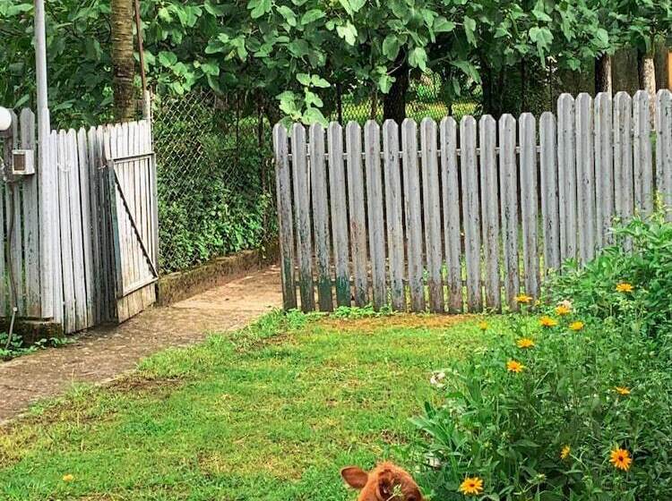 پانسیون Matua Guest House