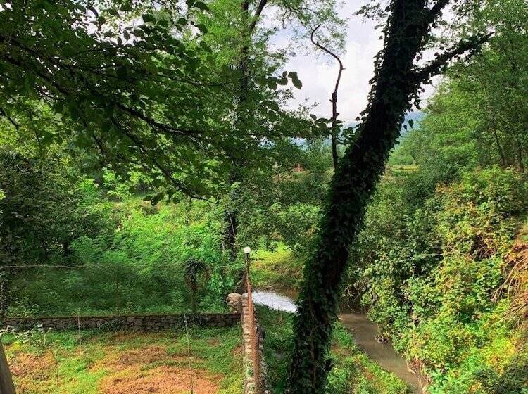 پانسیون Matua Guest House