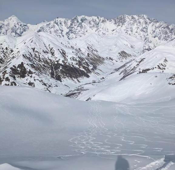 پانسیون Mshvidoba