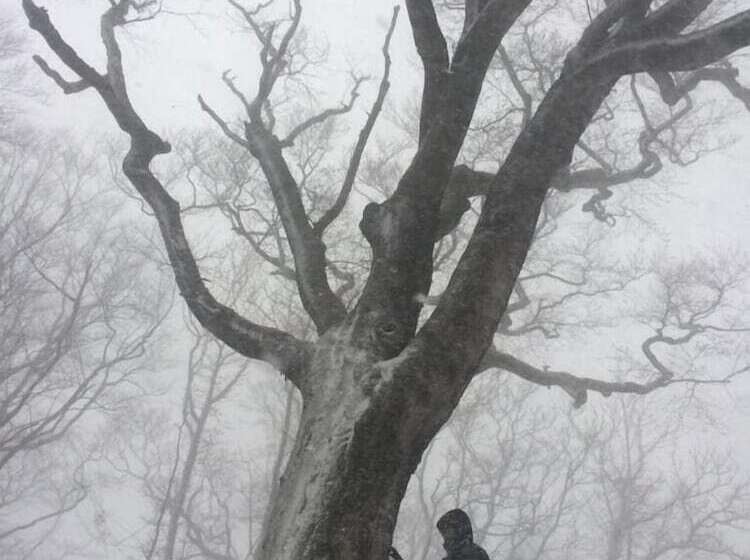 פנסיון Okushiri Guesthouse Imacoco   Hostel