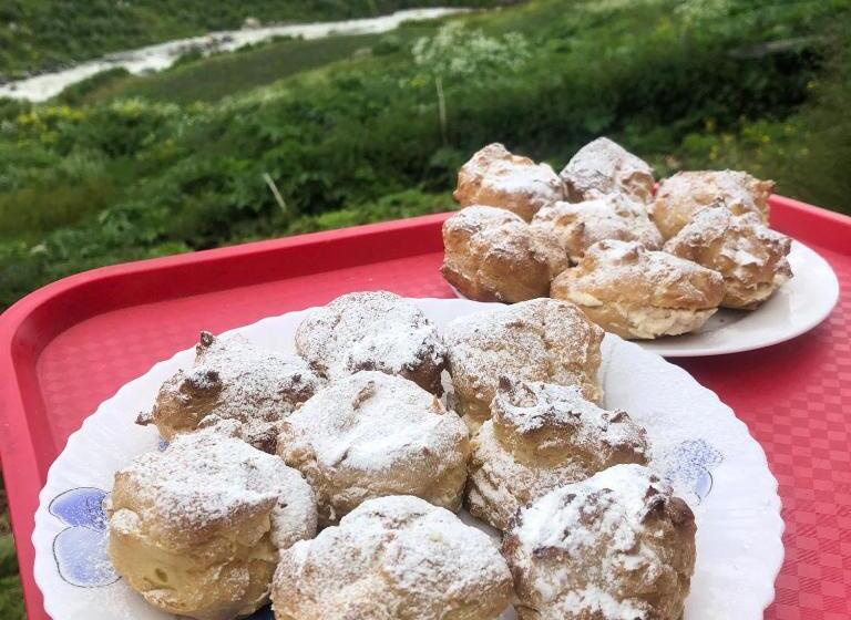 پانسیون Old Tower Guesthouse Ushguli