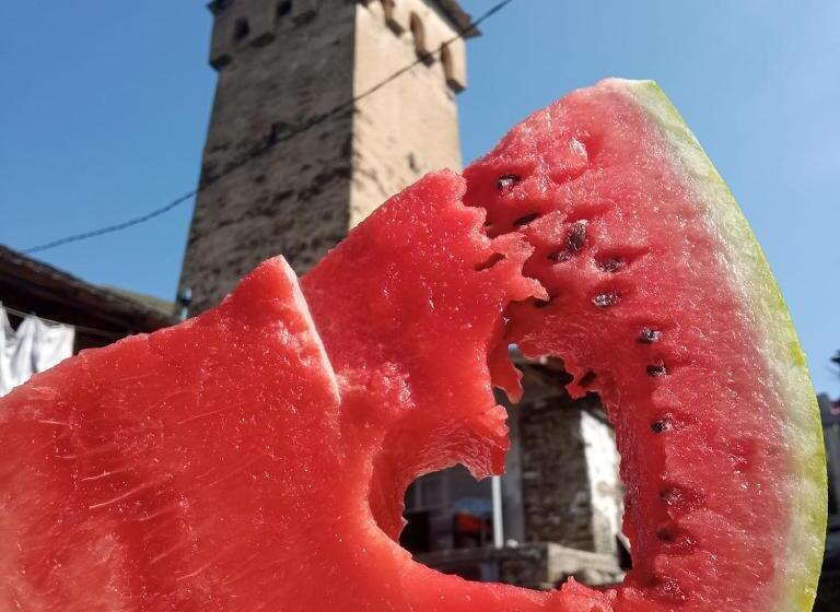 پانسیون Old Tower Guesthouse Ushguli