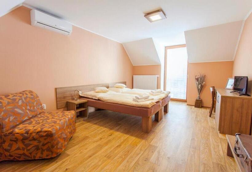 פנסיון Penzion Hluk