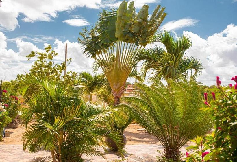 بنسيون Pousada E Restaurante Manaim