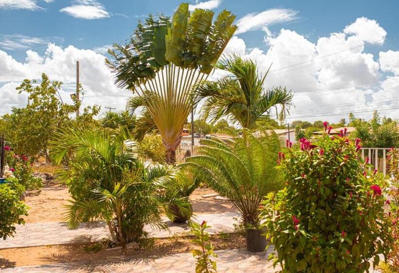 بنسيون Pousada E Restaurante Manaim