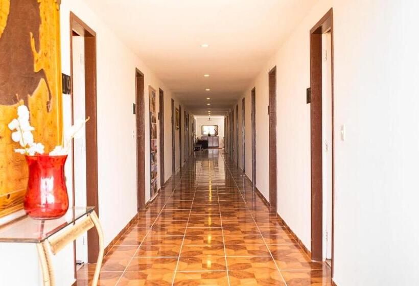 بنسيون Pousada E Restaurante Manaim