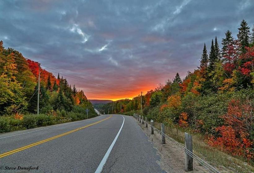 The Mad Musher   Hostel