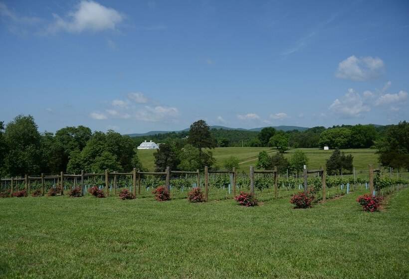 Woodville Bed And Breakfast