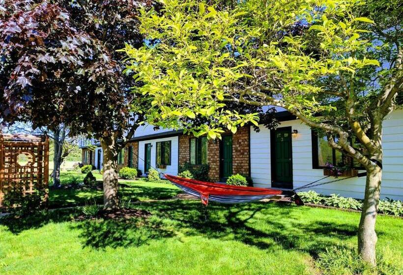 ユースホステル Hop & Vine Inn