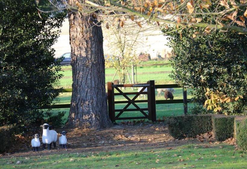 Hof Van Volmersele   Luxury B&b