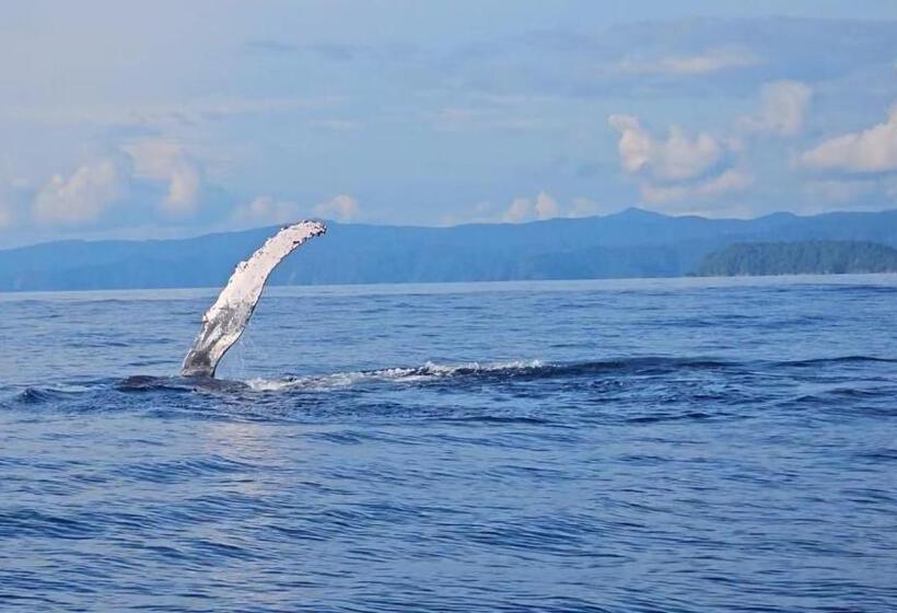 호텔 Bahía Yubarta