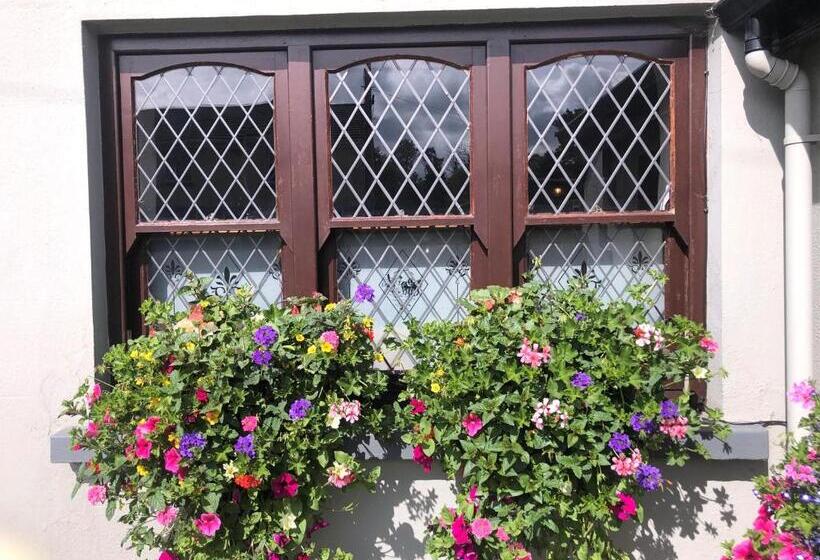 בית מלון כפרי Chester Beatty Inn