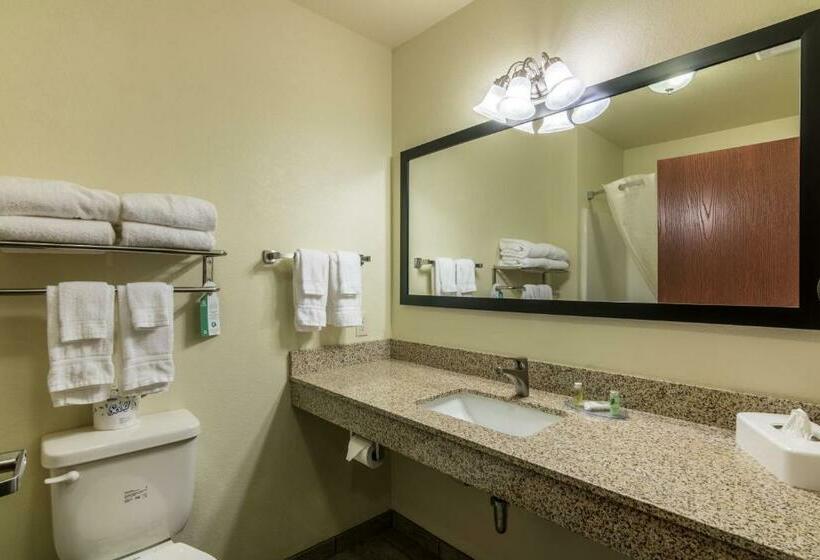 Отель Cobblestone Inn & Suites   Soda Springs